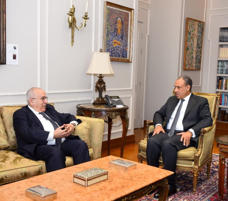قبيل قمة القاهرة.. وزير الخارجية المصري والمبعوث الأممي يبحثان سبل وقف إطلاق النار في السودان 2026
