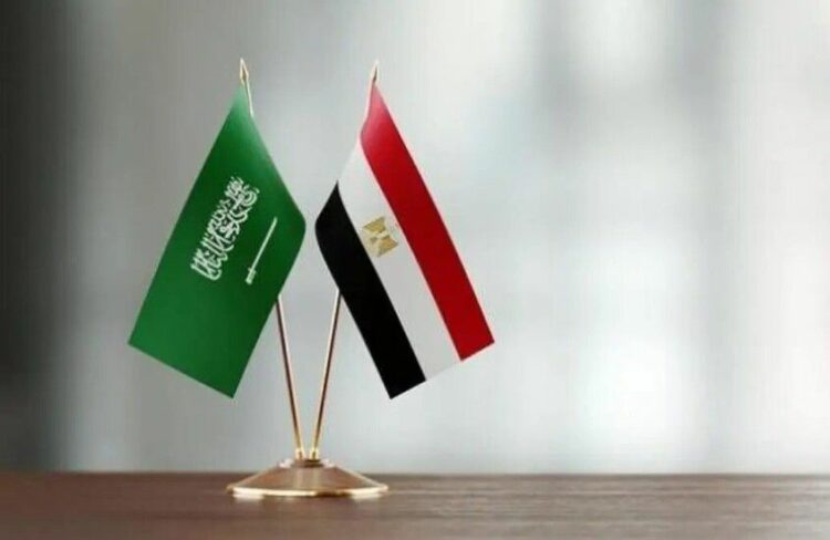 تقرير عبري : مصر والسعودية تتجهان لتشكيل تحالف عسكرى ثلاثى يضم الصومال لمواجهة النفوذ الإسرائيلي 2026